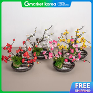 ART BOX | Artbox /Flower Tree Artificial Plum Blossom Centerpiece with Onggi Water Basin 25cm 4 Colo