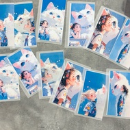 A6 Saving Pocket Whitecat / Crayon