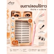 ส่งทันที AAC ขนตาปลอมแบบช่อไม่ง้อกาว แถมแหนบฟรี มีหลายสไตล์ให้เลือก
