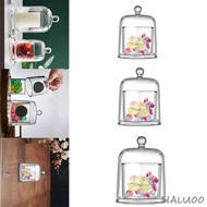 [Haluoo] Glass Cloche Dome Tabletop Ornament for Fairy Lights Pillar Candles Jewelry