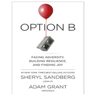 Option B Facing Adversity, Building Resilience And Finding Joy by Sheryl Sandberg And Adam Grant