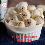 Kacang Teratai 福建白莲子 Fujian Lotus Seed 100g~500g