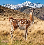 169.Patagonia National Park: Chile