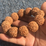 Donkey Kong Bodhi Bracelet Yellow Skin Raw Seed 55 6 Six 7 Seven 8 Eight 9 Petals Indonesia Red Skin