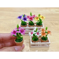 Miniature Lily Bouquet In A Brown Clay Pot Height Size 4.5cm.