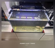 背濾魚缸