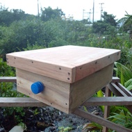 Shed Party Box (Classic A4 Model) Size 21 × 30 11cm Thickness 20 Mm According To The Gap Standard Cr