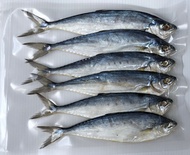 ปลาสีเสียดเค็ม ปลาสีเสียดเล็ก ไซต์ขนาด 20-25 ตัวกิโล ปลาสีเสียดตากแห้ง ทอดหอมหรอย ไม่เค็ม เนื้ออร่อย อาหารทะเลแห้ง