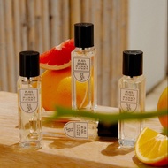 SCENTERY Playa Rumba Perfume EDP เซนเทอร์รี่ พลาย่า รุมบ้า น้ำหอมเออ เดอ พาร์ฟูม