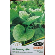 Green ceylon spinach vegetable seed/biji benih tembayung hijau 帝皇菜种子