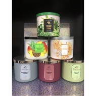 Bath & Body Works 3 wick candle 411g (Ready stock)