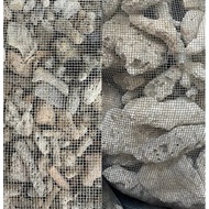 Aquarium koi pond Coral Chips Filter Media Small/Large 6kg/13kg/18kg