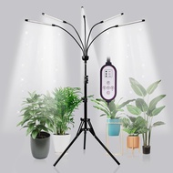 6000K Full Spectrum ห้าหัว LED Grow Light 5V USB ในร่มพืชหรี่แสงได้อัตโนมัติเปิด/ปิดขาตั้งกล้องขาตั้