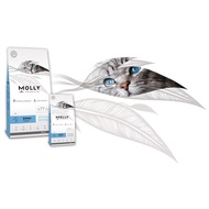 2KG / 15KG Molly Cat Kitten & Mother Premium Cat Food