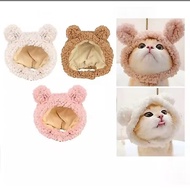 Bjorn_bear character cat hat cat pet hat/ cute cat accessories