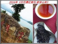 【台灣最稀有的紫芽山茶】2016年《日月潭紅寶石：紫芽山茶》50g
