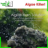 Algae-Burn kill algae aquarium fish tank plant treatment spray