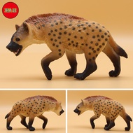 【Spot】Realistic Solid Simulation Wild Forest Animals Hyena Model Action Figures Figurines Collection