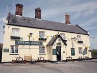 淘氣迪基旅館 (The Kicking Dickey)
