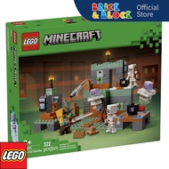 LEGO 21271 The Trial Chamber | LEGO Minecraft