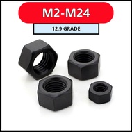 Grade 12.9 Black Oxide Hex Nuts M2-M24 for Industrial & Construction 【FKY-M】