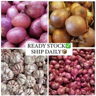 Bawang Merah Kecil (Shallot) / Bawang Merah Besar / Bawang Holland / Bawang Putih