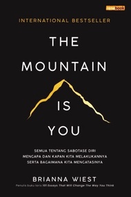 THE MOUNTAIN IS YOU