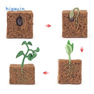 Simulation Life Cycle Animals Model Children Toys Insect Plant Growth Cycle Early Education Toy