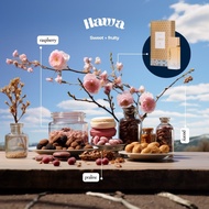 ORI DEXANDRA ADAM & HAWA EDP 35ML PERFUME SET FOR MEN & WOMEN