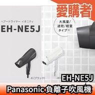 日本 Panasonic 負離子大風量吹風機 EH-NE5J 強力乾燥 輕便 烘乾 吹風機 吹頭髮 松下電  【愛購者】