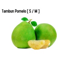 Ipoh Famous Tambun Pomelo Sweet & Sweet-Sour / Tambun limau Bali [ Halal ][ S , M ,L ]