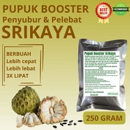 Pupuk Booster Srikaya / Obat Booster Buah Srikaya / Pupuk Booster Buah Srikaya / Pupuk Srikaya