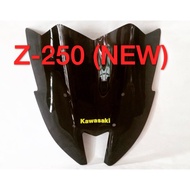 Kawasaki z-250 windshield