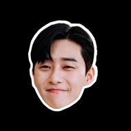 Waterproof Stickers Car Fridge Magnet Die-Cut For People Pets DCUT216 Park Seo joon