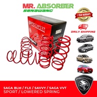 SAGA BLM / FLX / SAVVY / SAGA VVT PROEXPERT SPORT SPRING