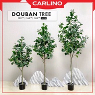 CARLINO:DOUBAN PREMIUM Plant / Pokok home decor/ Pokok Hiasan Viral / pokok hiasan dalam rumah