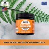 ผงสารสกัดจากเห็ดหางไก่งวง สำหรับสุนัข Turkey Tail Mushroom for dog - Four Leaf Rover