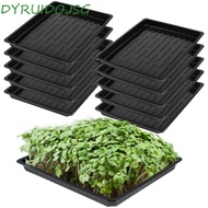 DYRUIDOJSG 10Pcs Plant Growing Trays, No Holes Plastic Seed Propagation Tray, Sprout Hydroponic Systems Durable Reusable 550x285x60mm Nursery Potted Seedling Trays Home Nursery