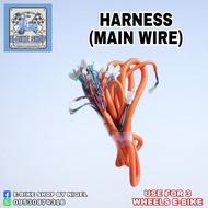 HARNESS (MAIN WIRE) FOR E-BIKE 3WHEELS