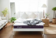 ที่นอนยางพาราแท้ + ชั้น Memory foam รุ่นเพอร์เพิล (Purple) ที่นอน นุ่ม นอนสบาย (ที่นอน 3.5 ฟุต / 5 ฟุต / 6 ฟุต ) เตรียมจัดส่ง 7-10 วัน - Sleep Latex By Greenlatex