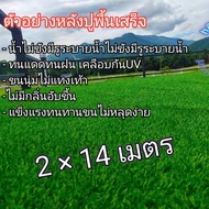 หญ้าเทียมขนาด2×14เมตรAAAขนสูง2cm.(28ตารางเมตร) ขนนุ่มพร้อมส่ง Artificial grass size 2×14meters AAA f