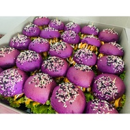 Roti Bun Mini Burger Comel (12pcs)