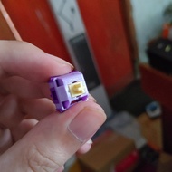 HMX Lemon Grape Switches Linear