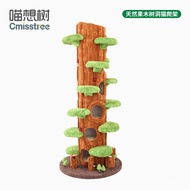 HY/🆎Meow Xiang Tree TONTINE Cat Climbing Frame Large Cat Tree Jumping Platform Integrated Solid Wood Cat Climber Villa C