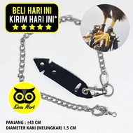 Kicau Mart Rantai Borgol Besi Ujung Kulit Ring Pengaman Pengikat Ikat Kaki Burung Kakatua Kakak Tua 