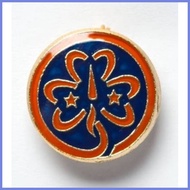 ♠ ♚ ✙✷ GSP PINS (twinkler, star, junior, senior, cadet,troop leader pin, WORLD PIN, GSP LOGO PIN)