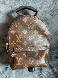 Louis Vuitton LV Palm Springs mini (new version)