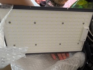 Helios Green LED Grow Light太陽神
