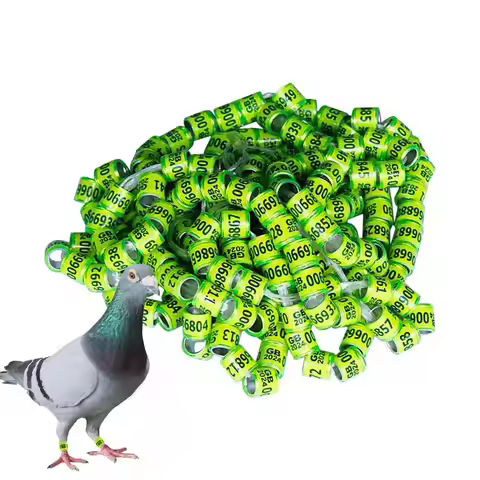 Pigeon Identification Rings 50pcs Safe Birdhouse Accessories Universal Pigeon Supplies Bands Bird Fo