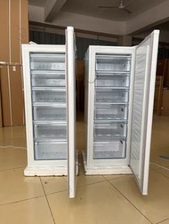 🧊🧊【特別推薦】【全新】立式冰櫃Upright freezer  抽屜式 家用 全冷凍 側開門 立體 母乳櫃 小型#冰櫃